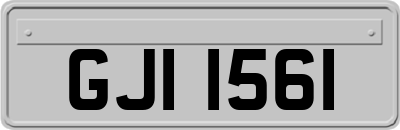 GJI1561