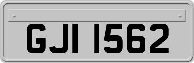 GJI1562