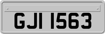 GJI1563