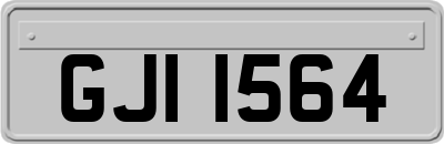 GJI1564