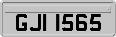 GJI1565