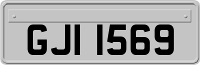 GJI1569