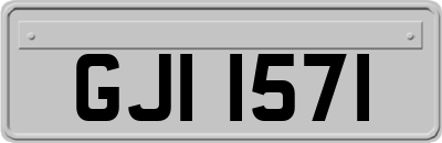 GJI1571
