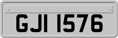 GJI1576