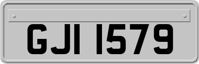GJI1579
