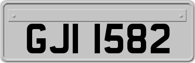 GJI1582