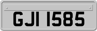 GJI1585