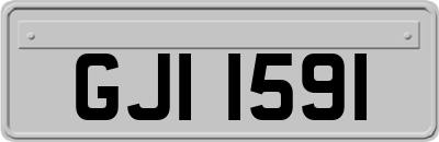 GJI1591