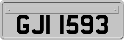 GJI1593