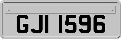 GJI1596