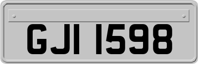 GJI1598