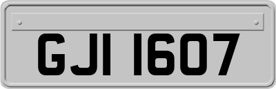 GJI1607