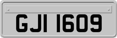 GJI1609