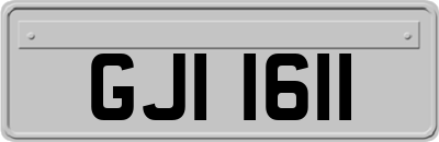 GJI1611