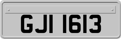 GJI1613