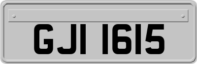 GJI1615