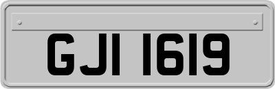GJI1619