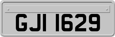 GJI1629