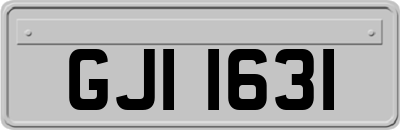 GJI1631