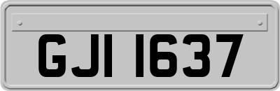 GJI1637