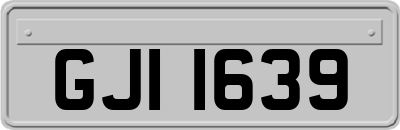 GJI1639