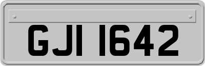 GJI1642