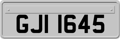 GJI1645