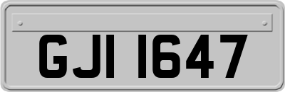 GJI1647