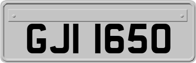 GJI1650