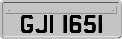 GJI1651