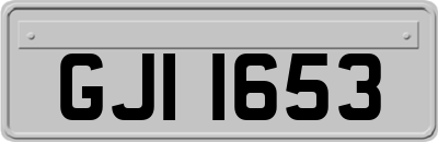 GJI1653