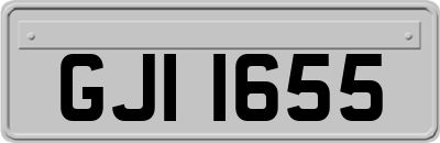 GJI1655