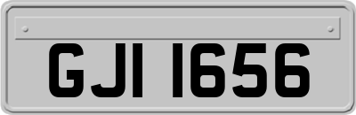 GJI1656