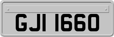 GJI1660