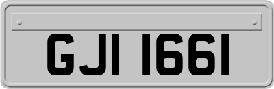 GJI1661