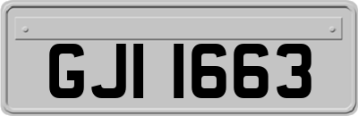 GJI1663