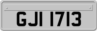 GJI1713