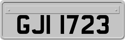 GJI1723