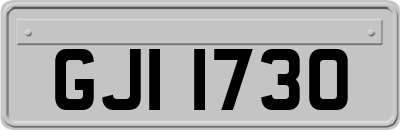 GJI1730