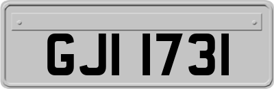 GJI1731