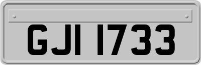 GJI1733