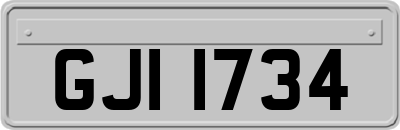 GJI1734