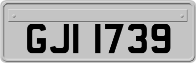 GJI1739