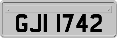 GJI1742