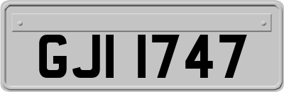 GJI1747