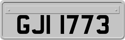 GJI1773