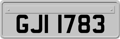 GJI1783