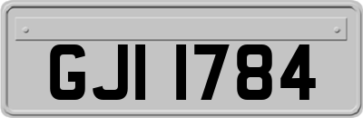 GJI1784