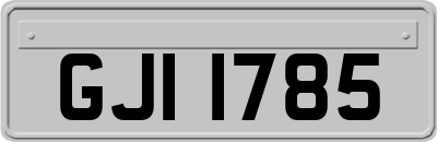 GJI1785
