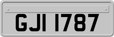 GJI1787